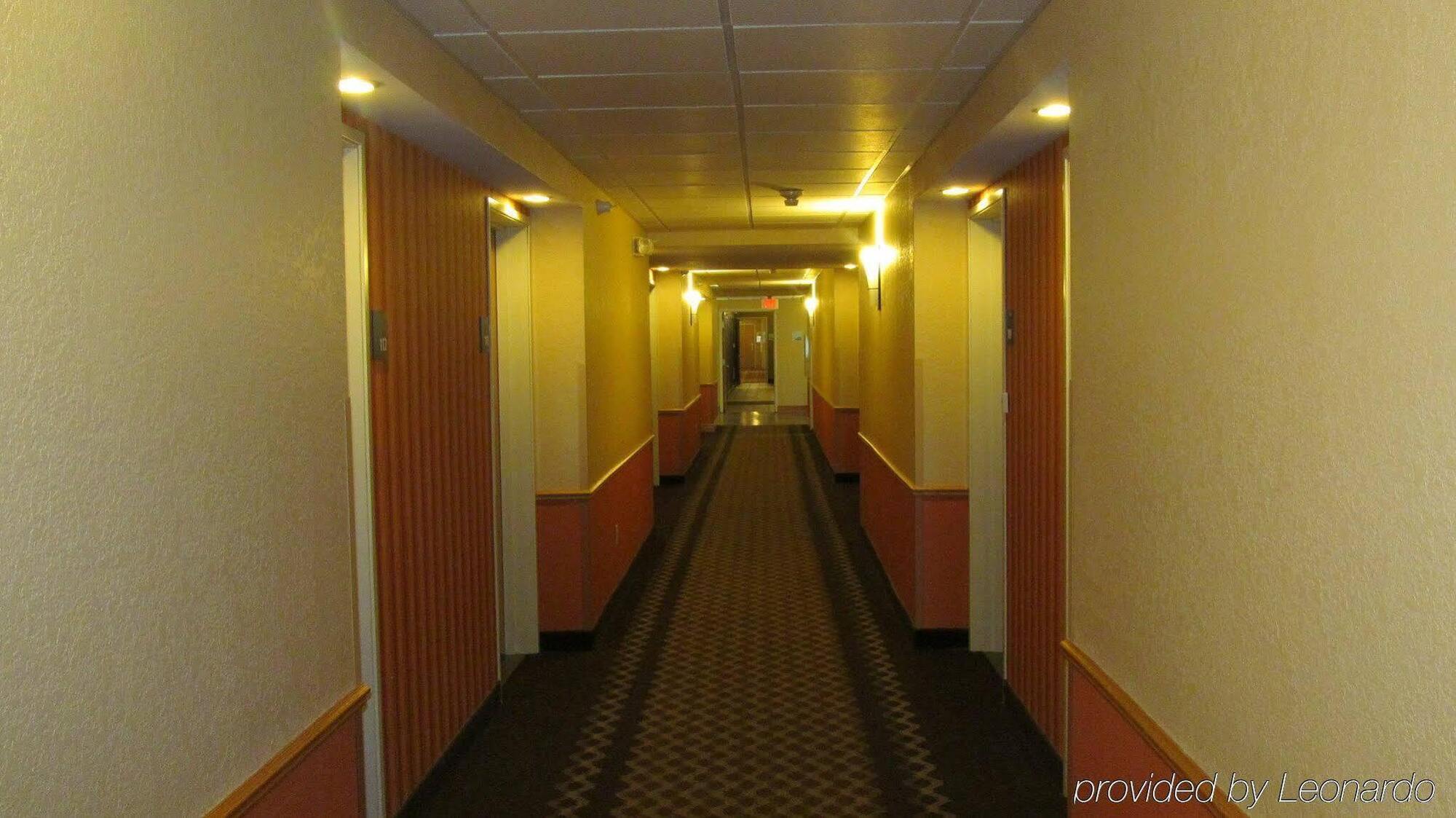 Holiday Inn Express Hotel & Suites Lexington By Ihg Zewnętrze zdjęcie